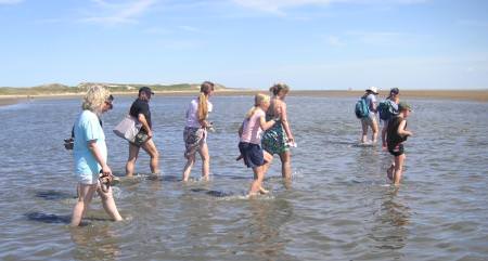 Wattwanderung Amrum-Föhr