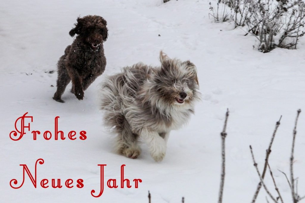 frohes-neues-jahr-2015-1200x800