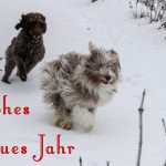 Frohes Neues Jahr 2015