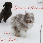 Ein frohes und glückliches neues Jahr euch allen